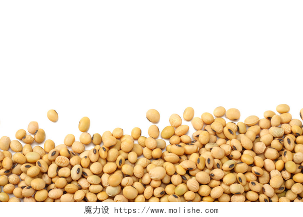 白色桌子上的黄豆在白色背景查出的大豆。顶部视图